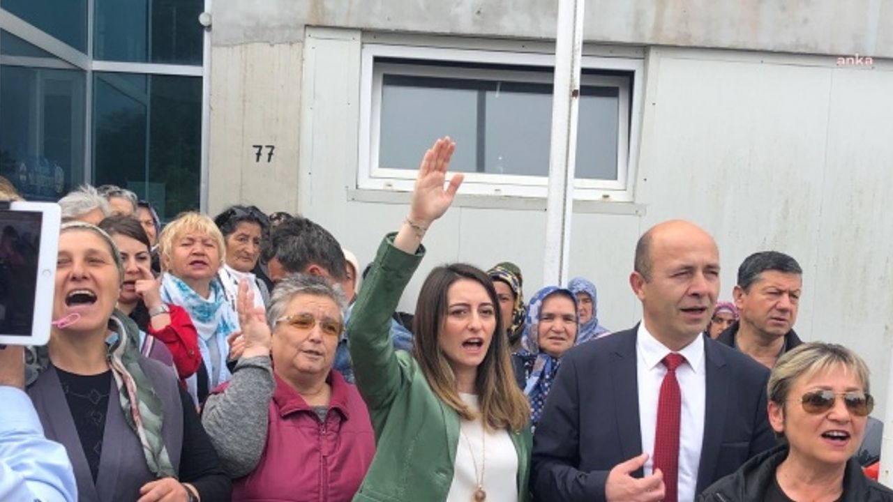 CHP'Lİ BANKOĞLU: "TERMİK SANTRALLERİN ÇEVRE KİRLİLİĞİNE AMASRA’DAN DAVET ÇIKMADI"