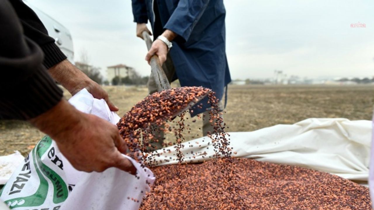 ANKARA BÜYÜKŞEHİR DESTEKLİYOR, KADIN ÇİFTÇİLER ÜRETİYOR