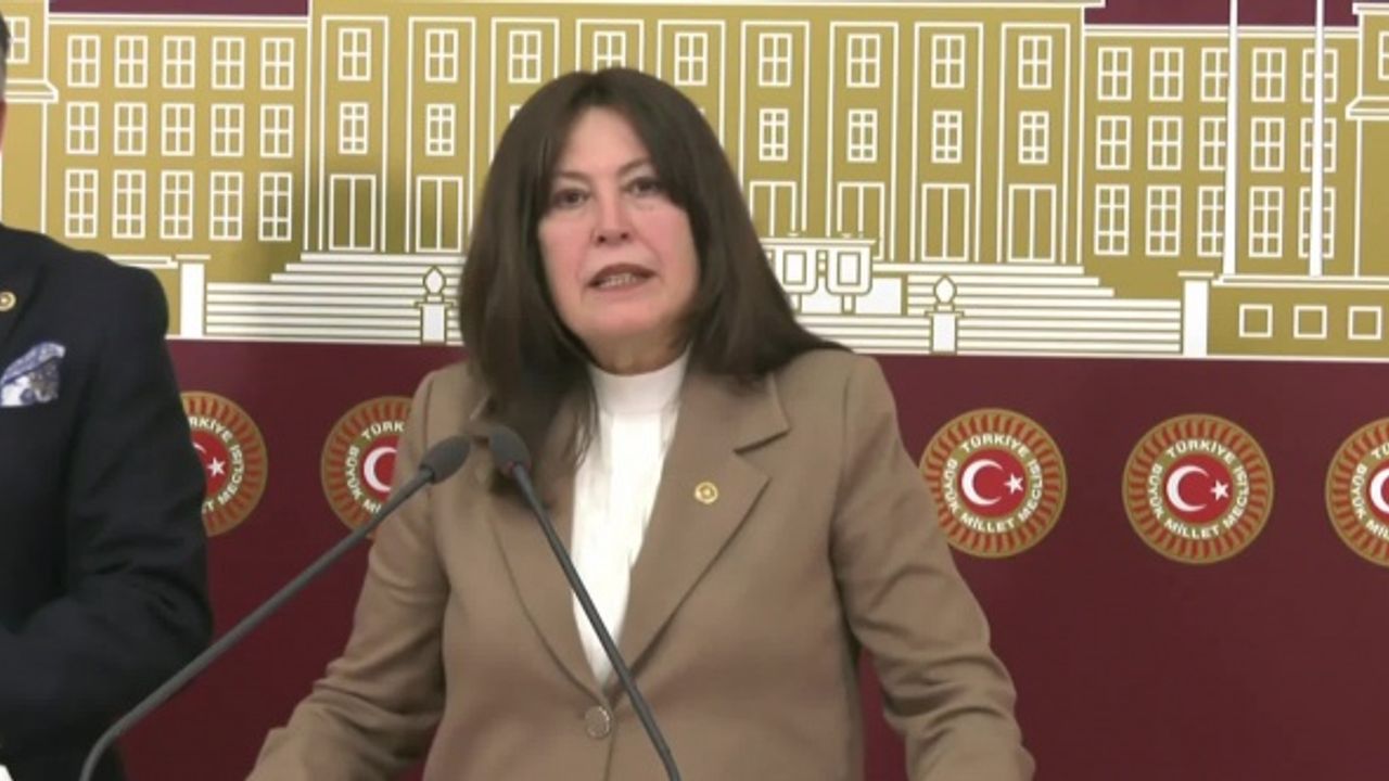 ŞENOL SUNAT'TAN “ÖĞRETMENLİK MESLEK KANUNU” TEPKİSİ: “YAPILAN SİYASİ POPÜLİSTLİK VE TATLI SU KURNAZLIĞI”