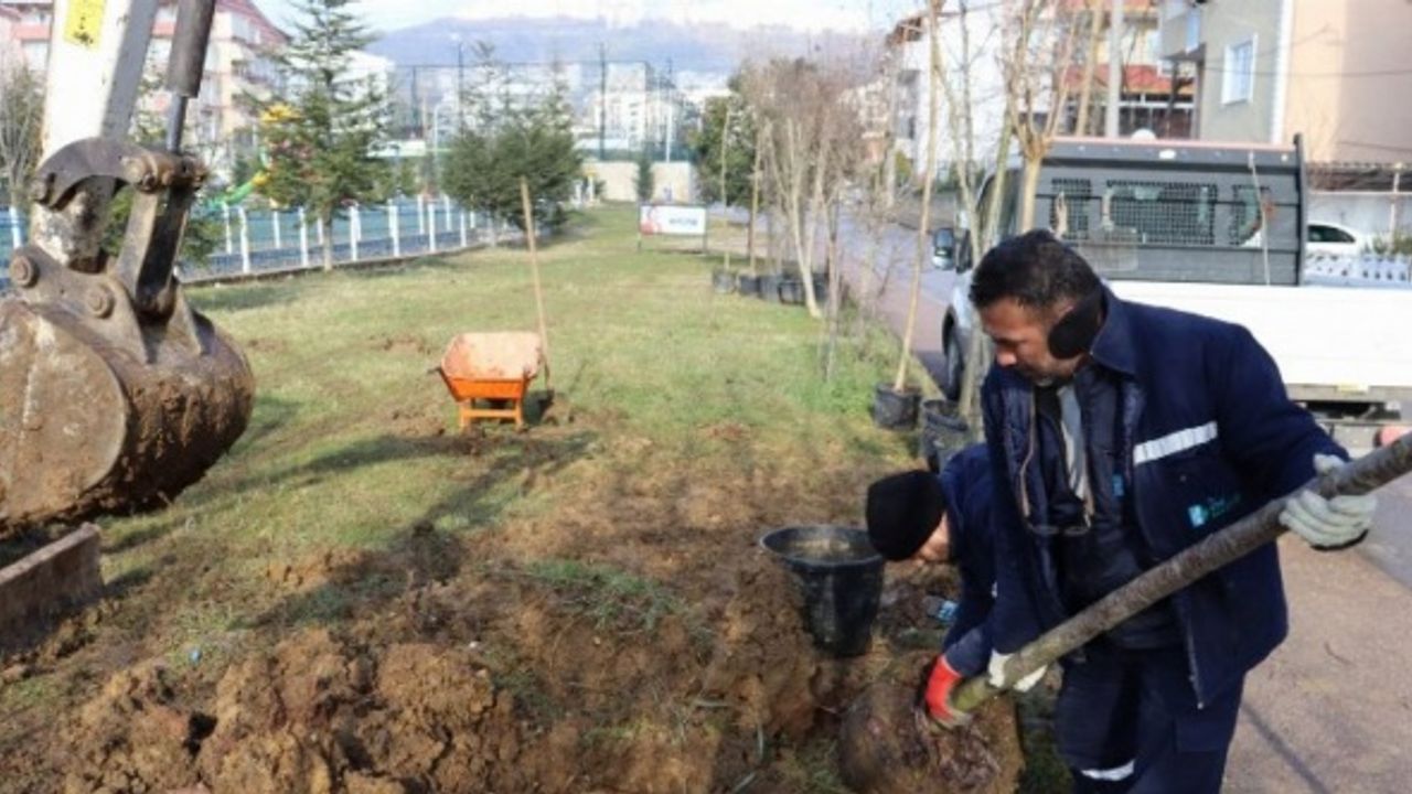 Kocaeli İzmit Yeşilova Mahallesi'nde bitkilendirme çalışması