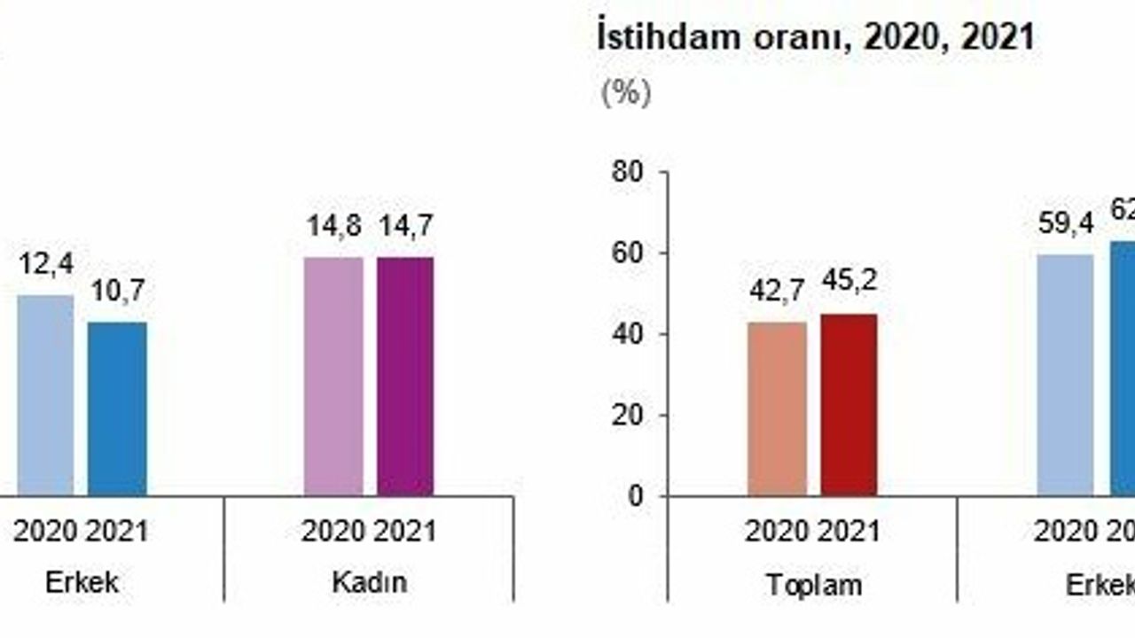 TÜİK'E GÖRE 2021 YILINDA İŞSİZLİK YÜZDE 1,1 GERİLEREYEREK YÜZDE 12 OLDU