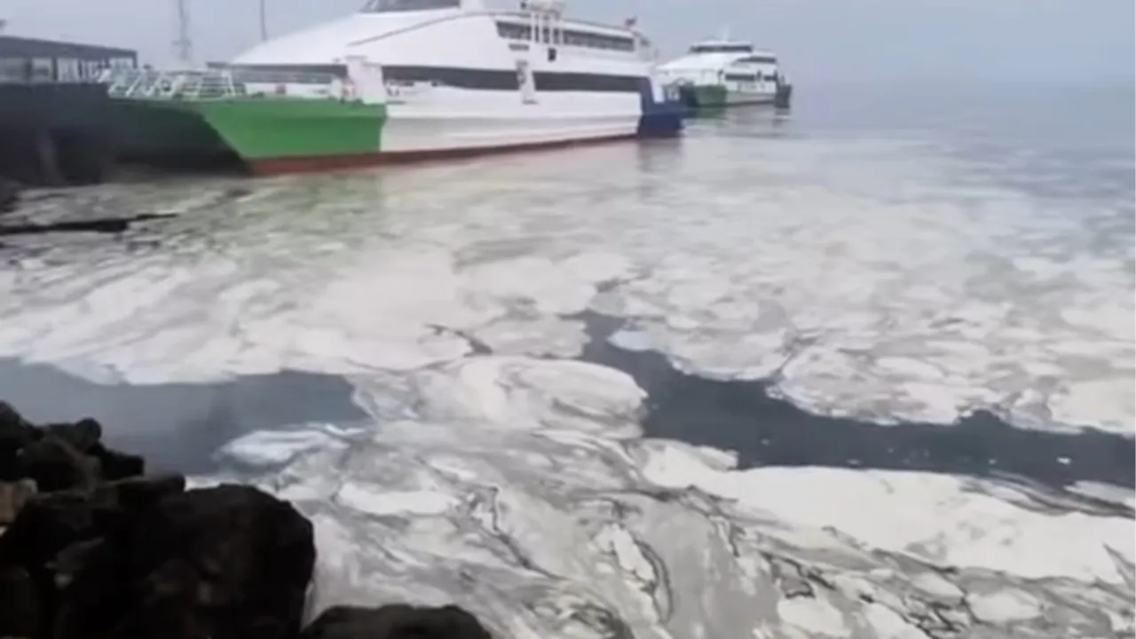 Marmara’nın çığlığına Bursa'dan ses oldular! Başkan Bozbey: Duymazdan gelemeyiz