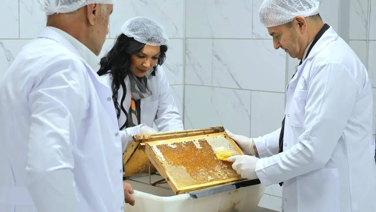 Artvin 'Bal Çalıştayı'na hazırlanıyor