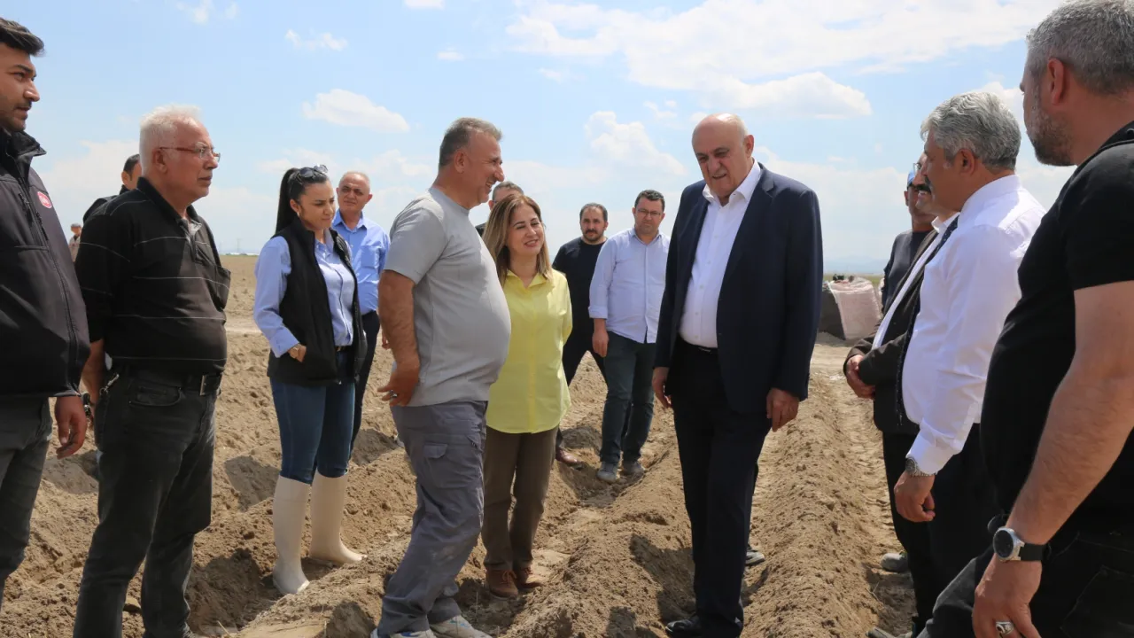 Konya'da patates atağı... İthal tohum dönemi sona eriyor