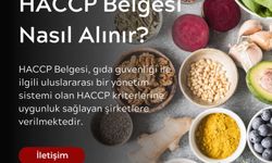 HACCP Belgesi Nedir?