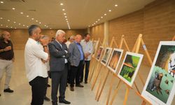 Muğla'da 'eğitim' temalı karikatür yarışması