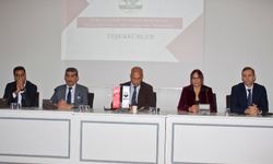 Bursa'da pestisit kullanımı Bursa’da yüksek