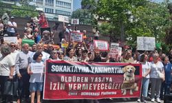Eskişehir Emek ve Demokrasi Platformu: “Hiçbir canlının yaşam hakkı elinden alınamaz”