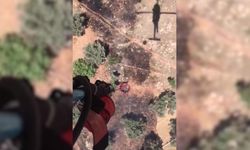 Muğla Bodrum’da zirai alanda çıkan yangın söndürüldü