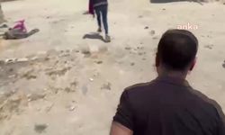 Şanlıurfa merkezli 14 ilde dolandırıcılara yönelik düzenlenen operasyonlarda 36 kişi tutuklandı