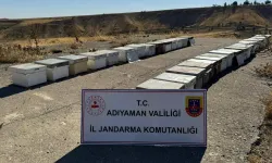 Adıyaman'da arı kovanlarını çalan şahıs yakalandı!