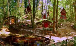 Teklif yasalaştı. Milli parklarda yeni dönem