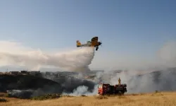 Bir kıvılcım binlerce hektarı yok ediyor... Yangınların yüzde 90'ı insan ihmali!