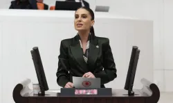 CHP’li Özcan’dan Dalaman Çayı uyarısı