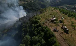 Düzce Yığılca’da orman yangını!