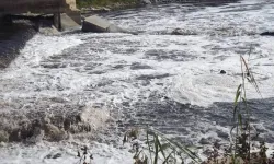 Ergene Nehri’ndeki kirlilik çevre felaketine dönüştü