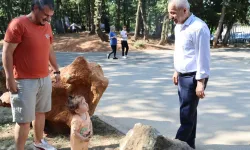 Gebze Cuma Köy’de doğayla iç içe yeni buluşma noktası