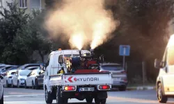 İstanbul Küçükçekmece sivrisineklere karşı alarmda