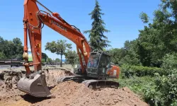 Kocaeli'de sökülen ağaçlar geleceğe taşınıyor