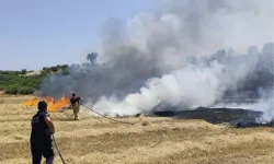 Manisa'dan anız yangınlarına karşı uyarı