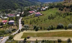 Ordu'da tarıma makine gücü