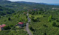 Ordu'da Yaraşlı Yolu sıcak asfalta kavuştu