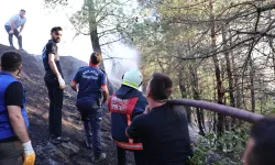 Sakarya’daki orman yangını kontrol altında: 3 gözaltı!