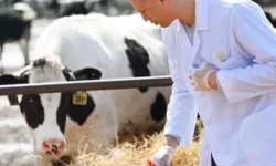 Tarımsal girdiler Nisan'da da hız kesmedi... Veteriner harcamaları ve hayvan yemi  revaçta