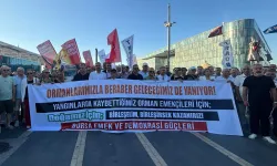 Artan orman yangınlarına Bursa'dan ses oldular! Mücadelede toplum temelli yaklaşık çağrısı