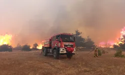 Bakan Yerlikaya'dan 5 günlük yangın raporu: 7 gözaltı, 3 tutuklama