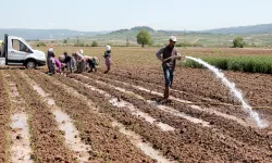 Bursa Yenişehir Ovası'ndan su krizi uyarısı! Yenişehir’de su seviyesi tehlikede!