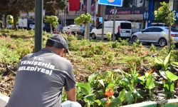 Bursa Yenişehir'in kalbi çiçek açtı