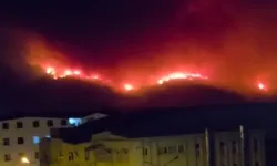 Bursa'da alevler büyüyor! Karahıdır tahliye ediliyor