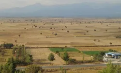 Denizli'de Tavas Ovası kuraklık alarmı veriyor!