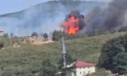Düzce-Sakarya sınırında orman yangını