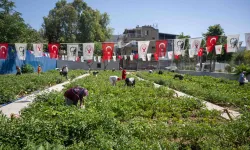 Gıda güvenliği mesajı Bornova'dan verildi