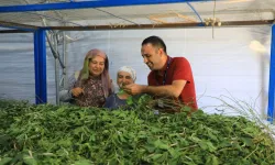İpekböcekçiliği yeniden doğuyor! Ata mirasına modern dokunuş