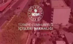 İstanbul’da kırmızı bültenli suç örgütüne operasyon: 89 gözaltı!