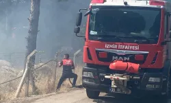 İzmir Bergama’da orman yangınına müdahale ediliyor