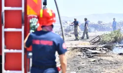 İzmir’de bir ayda 26 bin 260 hektar alan yandı
