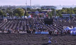 Konya Karatay’ın mor güzelliği rekorla taçlandı