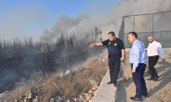 Manisa İtfaiyesi'nden Kayapınar yangınına müdahale