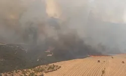 Manisa, Tekirdağ ve Çanakkale’de orman yangınlarına yoğun müdahale