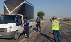 Manisa'da hal denetimlerine aralıksız devam