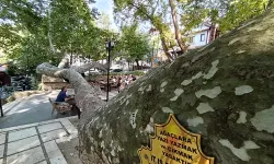 Osmanlı'dan günümüze... Bursa İnkaya'da görkemli gölge