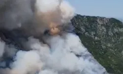 Sakarya Geyve'de orman yangınına yoğun müdahale