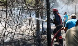 Sakarya İtfaiyesi yangın bölgelerinde tüm gücüyle müdahalede
