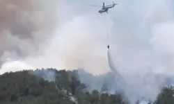 Sakarya ve Eskişehir’deki yangınlarda son durum