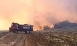 Son 1 haftada 624 orman yangını