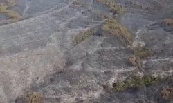 Tekirdağ Şarköy’deki yangın kontrol altında
